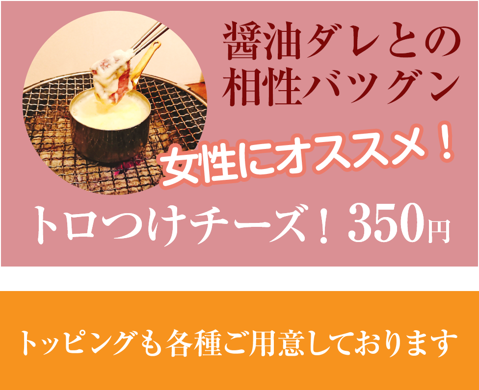 トロつけチーズ